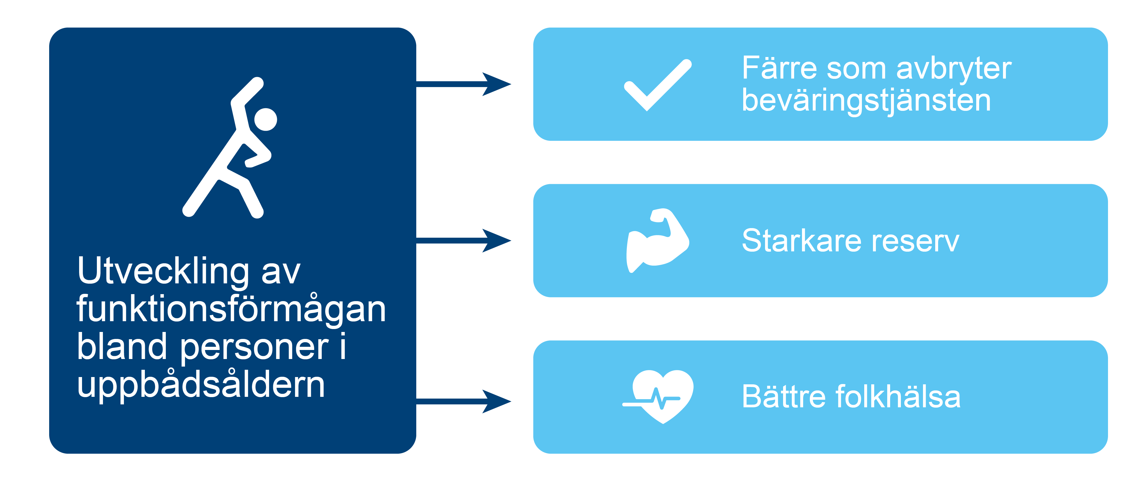 Utvecklingen av funktionsförmågan bland personer i uppbådsåldern leder till färre avbrott i beväringstjänsten, en starkare reserv och bättre folkhälsa.