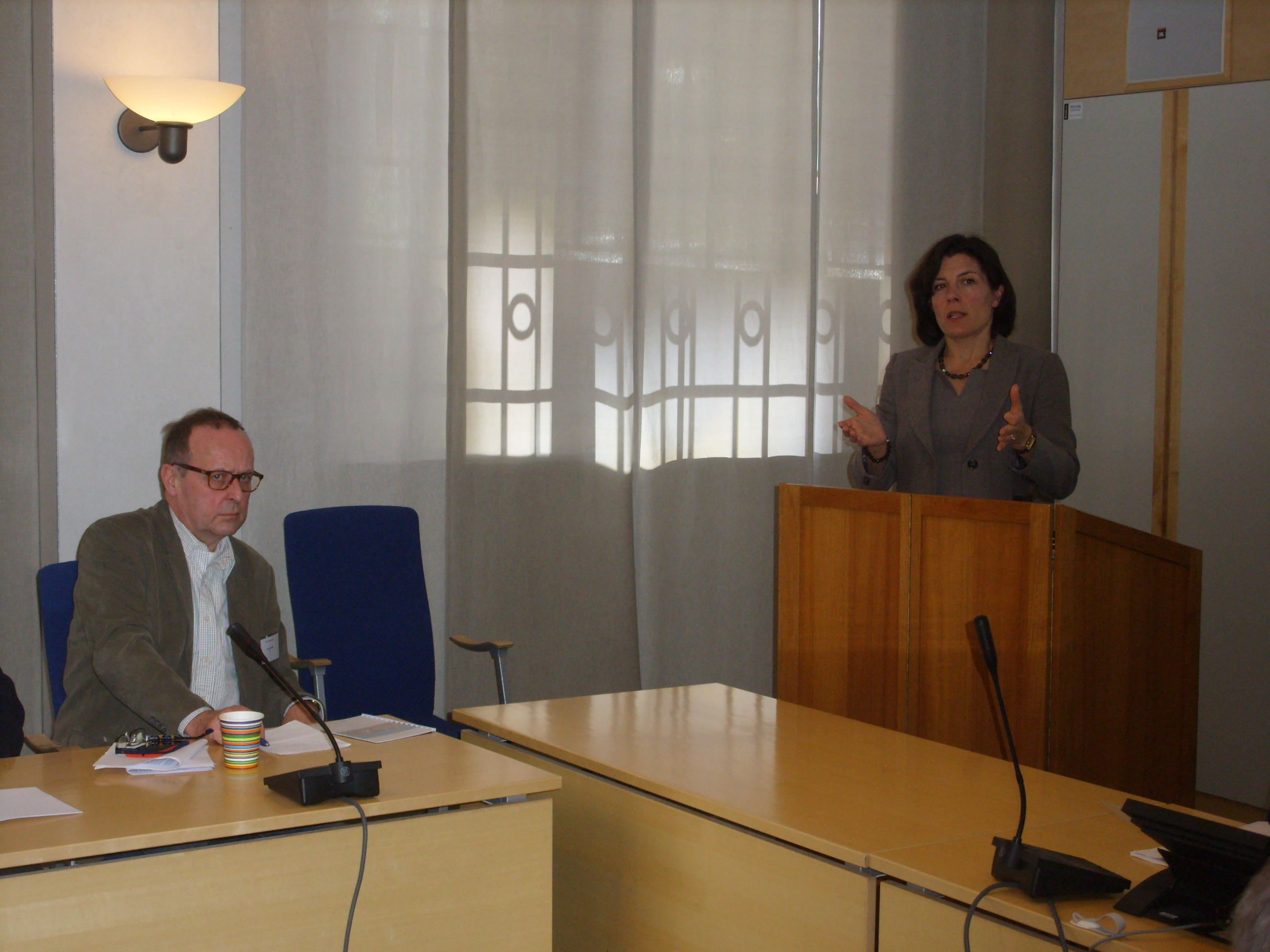 Karin Enström III 24.4.2013