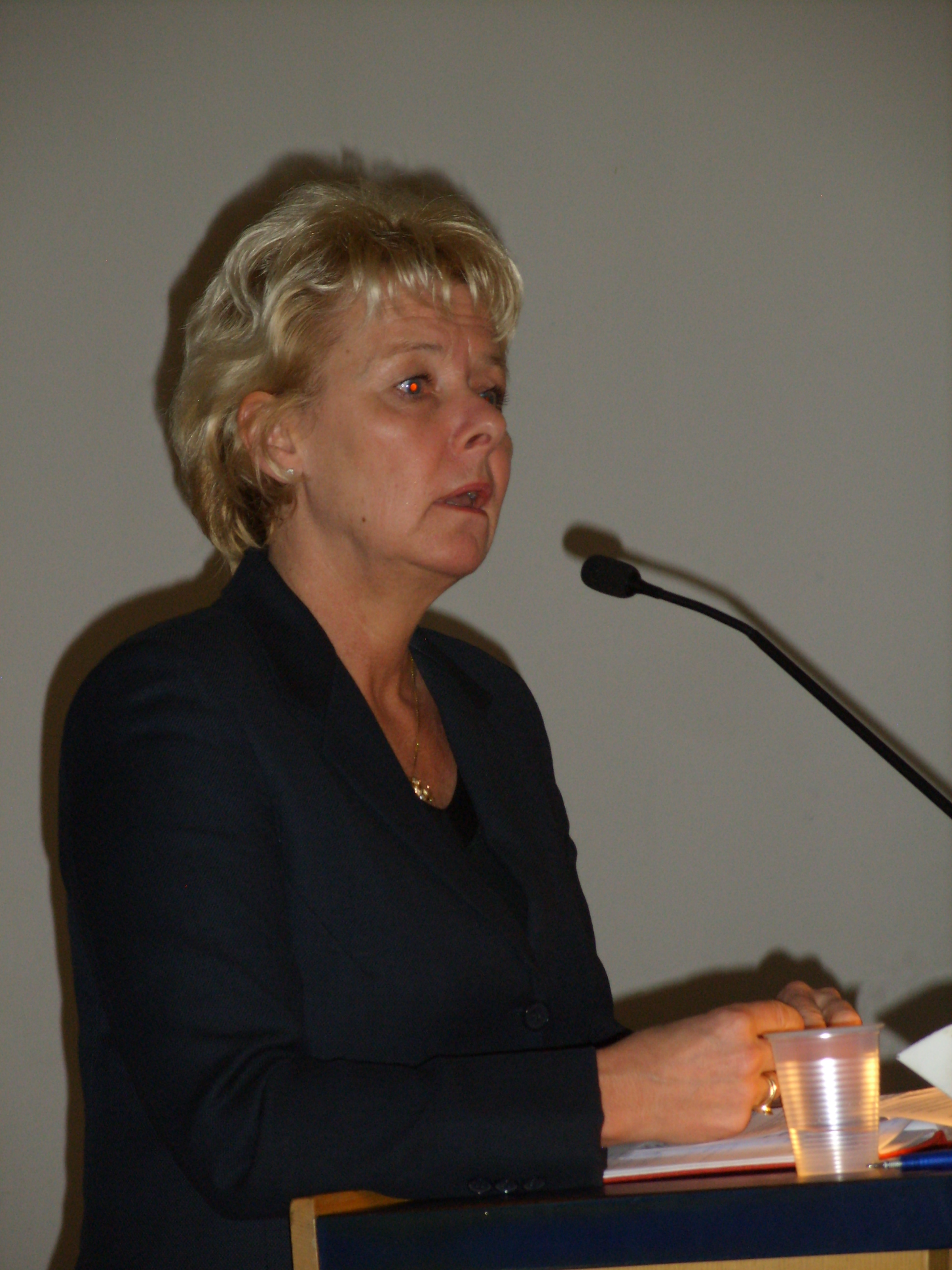 Osastopäällikkö Terhi Hakala MTS journalistiseminaari 16.3.2015 Seinäjoki